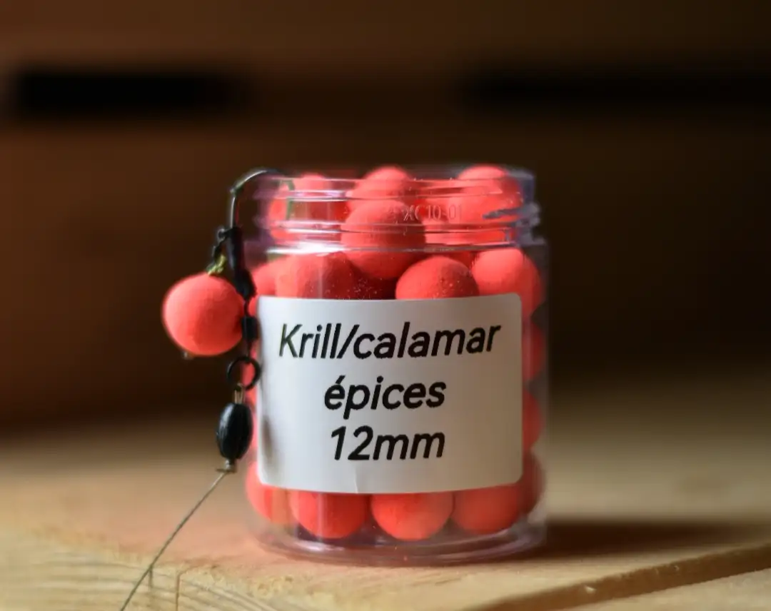 Pop up  krill/calamar/épices
