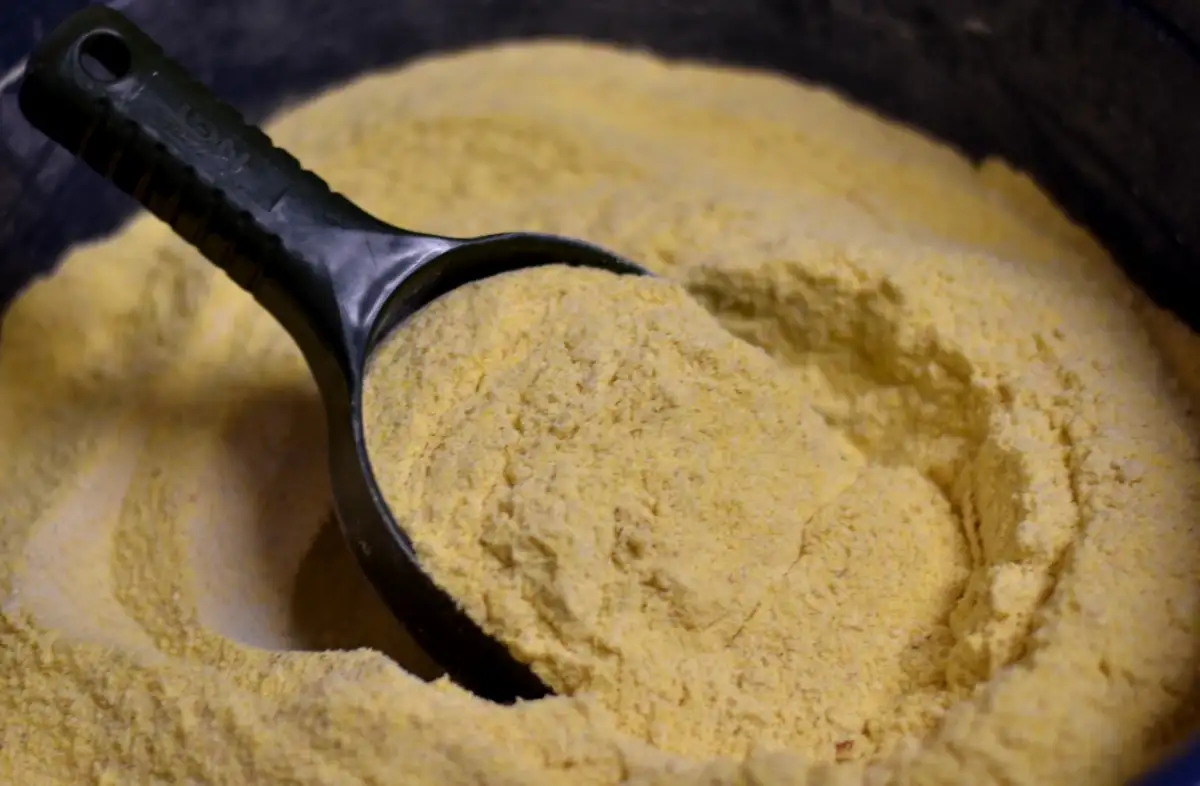 babycorn moulu 2.5 kg